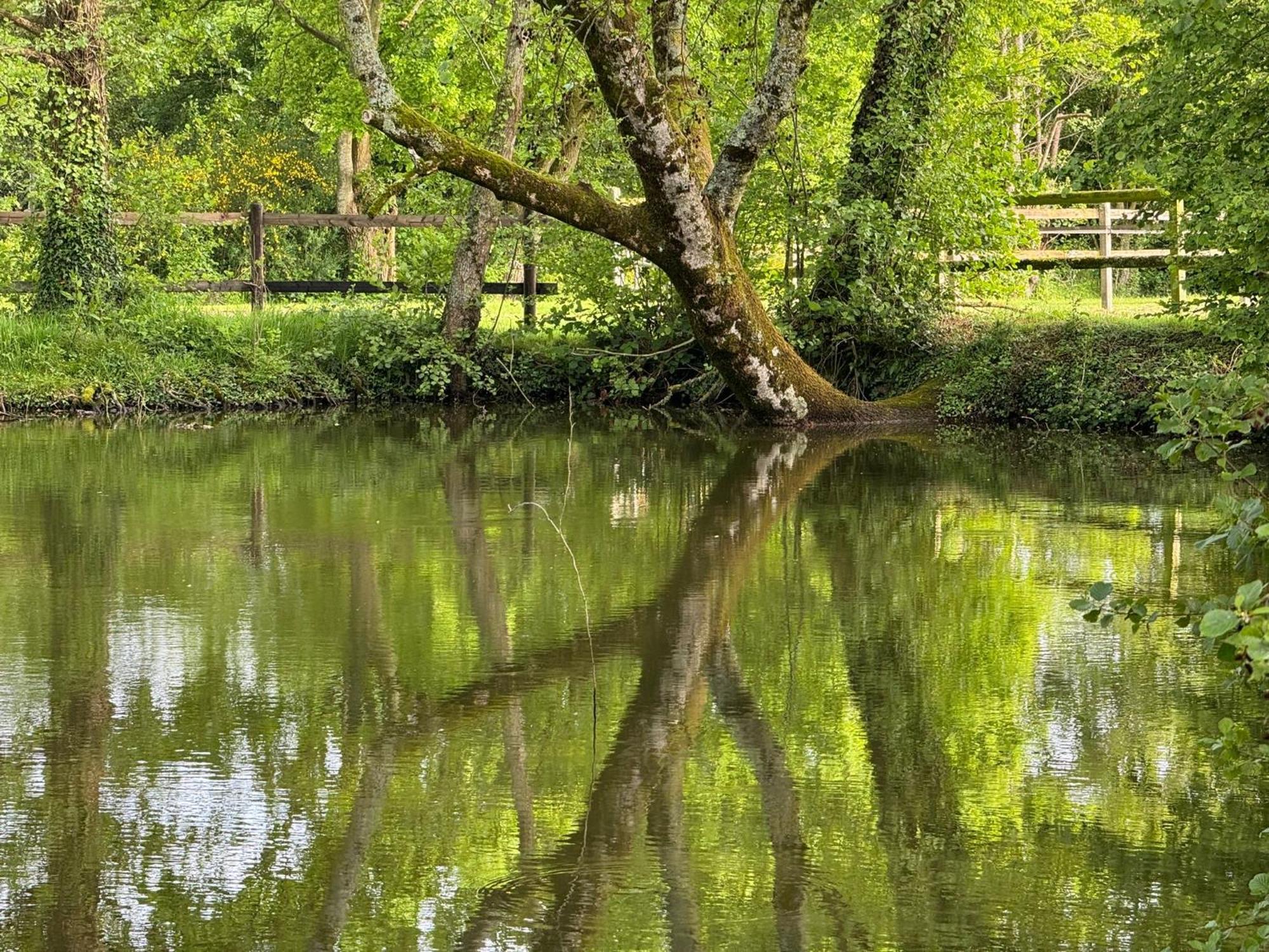La Maison De L'Etang Manerbe Exteriér fotografie