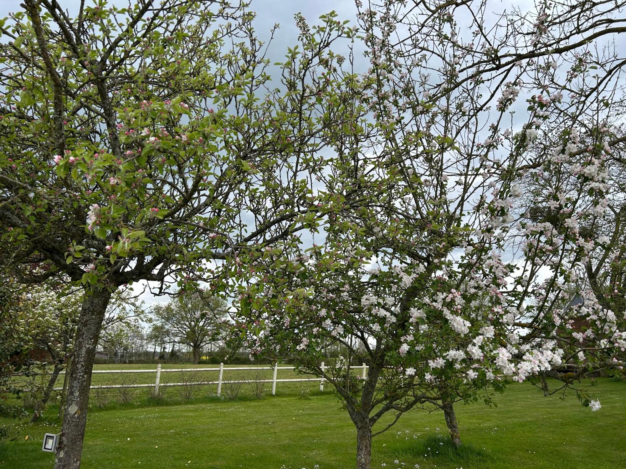 La Maison De L'Etang Manerbe Exteriér fotografie